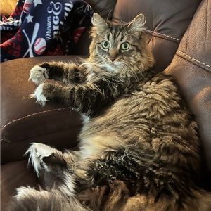 Meet your Posher, Luke